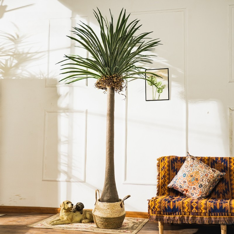 Planta Artificial de Dracaena  - Baby Clothing Stores reseña y precio